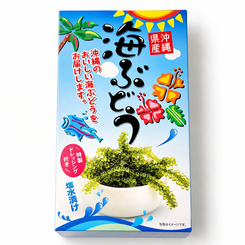 沖縄県産　海ぶどう